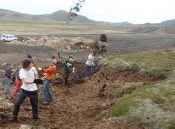 Revegetation in the south of Iceland (1:2)